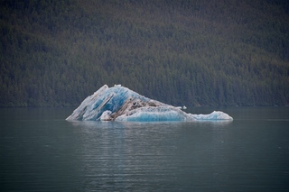 Filename=DSC_4391.jpg
Filesize=11244KiB
Dimensions=7360x4912
Date added=Sep 16, 2019 DSC_4391.jpg