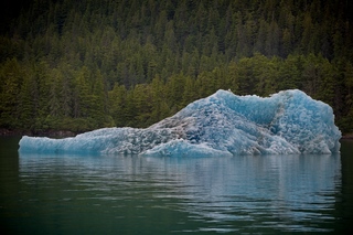 Filename=DSC_4405.jpg
Filesize=13347KiB
Dimensions=7360x4912
Date added=Sep 16, 2019 DSC_4405.jpg