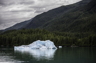 Filename=DSC_4414.jpg
Filesize=16184KiB
Dimensions=6958x4644
Date added=Sep 16, 2019 DSC_4414.jpg