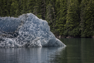 Filename=DSC_4416.jpg
Filesize=21486KiB
Dimensions=6795x4535
Date added=Sep 16, 2019 DSC_4416.jpg