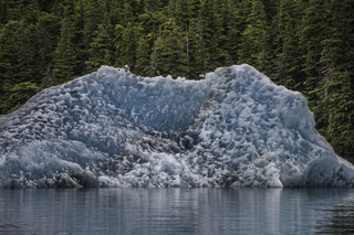 Filename=DSC_4417.jpg
Filesize=23083KiB
Dimensions=6919x4618
Date added=Sep 16, 2019 DSC_4417.jpg