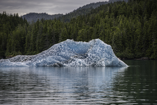 Filename=DSC_4419.jpg
Filesize=19423KiB
Dimensions=6931x4626
Date added=Sep 16, 2019 DSC_4419.jpg