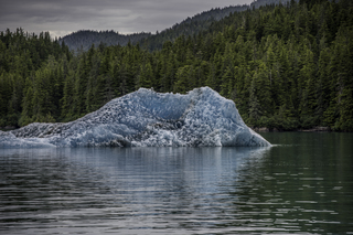 Filename=DSC_4420.jpg
Filesize=19692KiB
Dimensions=7139x4765
Date added=Sep 16, 2019 DSC_4420.jpg