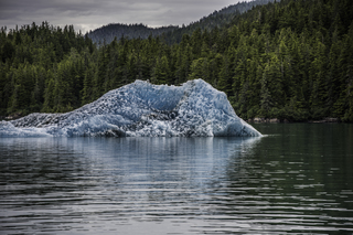 Filename=DSC_4421.jpg
Filesize=21783KiB
Dimensions=7318x4884
Date added=Sep 16, 2019 DSC_4421.jpg