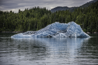 Filename=DSC_4422.jpg
Filesize=26550KiB
Dimensions=7360x4912
Date added=Sep 16, 2019 DSC_4422.jpg