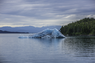 Filename=DSC_4423.jpg
Filesize=18044KiB
Dimensions=7006x4676
Date added=Sep 16, 2019 DSC_4423.jpg