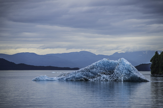 Filename=DSC_4424.jpg
Filesize=18673KiB
Dimensions=7153x4774
Date added=Sep 16, 2019 DSC_4424.jpg