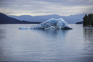 Filename=DSC_4426.jpg
Filesize=17612KiB
Dimensions=7117x4750
Date added=Sep 16, 2019 DSC_4426.jpg