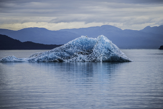 Filename=DSC_4427.jpg
Filesize=20768KiB
Dimensions=6939x4631
Date added=Sep 16, 2019 DSC_4427.jpg