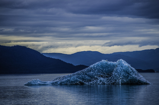 Filename=DSC_4429.jpg
Filesize=20701KiB
Dimensions=6701x4472
Date added=Sep 16, 2019 DSC_4429.jpg