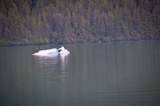 Filename=DSC_4430.jpg
Filesize=20485KiB
Dimensions=7360x4912
Date added=Sep 16, 2019 DSC_4430.jpg