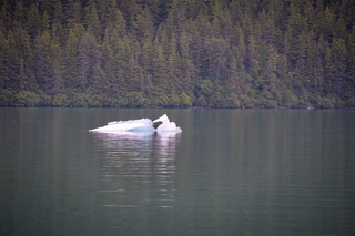 Filename=DSC_4431.jpg
Filesize=19491KiB
Dimensions=7360x4912
Date added=Sep 16, 2019 DSC_4431.jpg