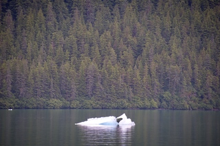 Filename=DSC_4432.jpg
Filesize=23463KiB
Dimensions=7360x4912
Date added=Sep 16, 2019 DSC_4432.jpg