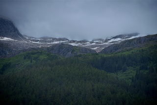 Filename=DSC_4435.jpg
Filesize=8723KiB
Dimensions=7360x4912
Date added=Sep 16, 2019 DSC_4435.jpg