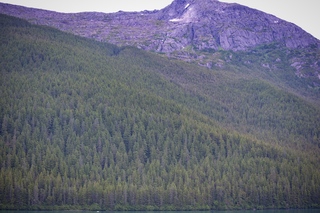 Filename=DSC_4440.jpg
Filesize=18608KiB
Dimensions=7360x4912
Date added=Sep 16, 2019 DSC_4440.jpg