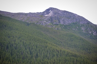 Filename=DSC_4441.jpg
Filesize=15522KiB
Dimensions=7360x4912
Date added=Sep 16, 2019 DSC_4441.jpg