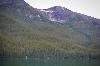 Filename=DSC_4445.jpg
Filesize=13158KiB
Dimensions=7360x4912
Date added=Sep 16, 2019 DSC_4445.jpg