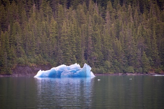 Filename=DSC_4459.jpg
Filesize=21356KiB
Dimensions=7360x4912
Date added=Sep 16, 2019 DSC_4459.jpg