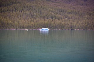 Filename=DSC_4461.jpg
Filesize=10441KiB
Dimensions=7360x4912
Date added=Sep 16, 2019 DSC_4461.jpg