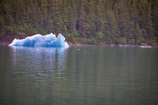 Filename=DSC_4462.jpg
Filesize=20301KiB
Dimensions=7360x4912
Date added=Sep 16, 2019 DSC_4462.jpg