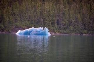 Filename=DSC_4463.jpg
Filesize=20272KiB
Dimensions=7360x4912
Date added=Sep 16, 2019 DSC_4463.jpg