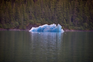 Filename=DSC_4464.jpg
Filesize=17773KiB
Dimensions=7360x4912
Date added=Sep 16, 2019 DSC_4464.jpg