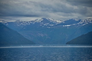 Filename=DSC_4467.jpg
Filesize=7080KiB
Dimensions=7360x4912
Date added=Sep 16, 2019 DSC_4467.jpg