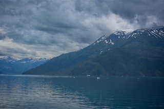 Filename=DSC_4471.jpg
Filesize=7386KiB
Dimensions=7360x4912
Date added=Sep 16, 2019 DSC_4471.jpg