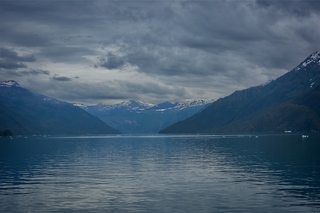 Filename=DSC_4472.jpg
Filesize=6866KiB
Dimensions=7360x4912
Date added=Sep 16, 2019 DSC_4472.jpg