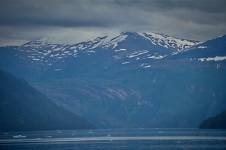 Filename=DSC_4481.jpg
Filesize=6712KiB
Dimensions=7360x4912
Date added=Sep 16, 2019 DSC_4481.jpg