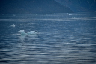 Filename=DSC_4482.jpg
Filesize=8986KiB
Dimensions=7360x4912
Date added=Sep 16, 2019 DSC_4482.jpg