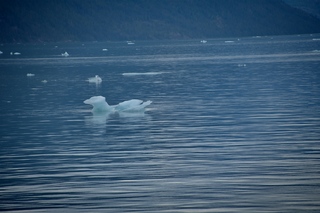 Filename=DSC_4483.jpg
Filesize=9217KiB
Dimensions=7360x4912
Date added=Sep 16, 2019 DSC_4483.jpg