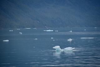 Filename=DSC_4484.jpg
Filesize=9700KiB
Dimensions=7360x4912
Date added=Sep 16, 2019 DSC_4484.jpg