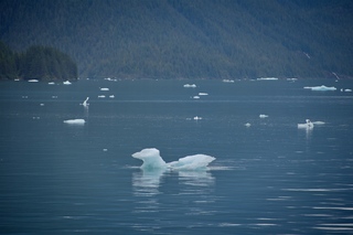 Filename=DSC_4486.jpg
Filesize=9114KiB
Dimensions=7360x4912
Date added=Sep 16, 2019 DSC_4486.jpg