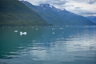 Filename=DSC_4488.jpg
Filesize=9450KiB
Dimensions=7360x4912
Date added=Sep 16, 2019 DSC_4488.jpg