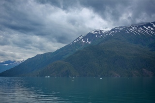 Filename=DSC_4490.jpg
Filesize=7232KiB
Dimensions=7360x4912
Date added=Sep 16, 2019 DSC_4490.jpg