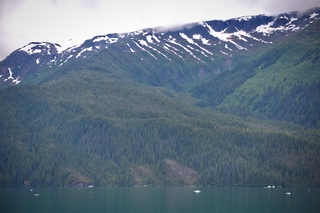 Filename=DSC_4498.jpg
Filesize=12284KiB
Dimensions=7360x4912
Date added=Sep 16, 2019 DSC_4498.jpg