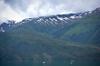 Filename=DSC_4507.jpg
Filesize=8648KiB
Dimensions=7360x4912
Date added=Sep 15, 2019 DSC_4507.jpg