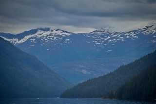 Filename=DSC_4515.jpg
Filesize=6657KiB
Dimensions=7360x4912
Date added=Sep 15, 2019 DSC_4515.jpg