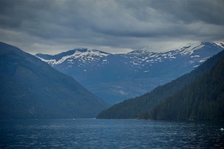 Filename=DSC_4516.jpg
Filesize=7739KiB
Dimensions=7360x4912
Date added=Sep 15, 2019 DSC_4516.jpg