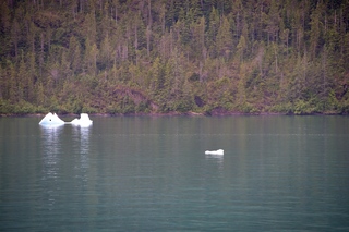 Filename=DSC_4519.jpg
Filesize=15906KiB
Dimensions=7360x4912
Date added=Sep 15, 2019 DSC_4519.jpg