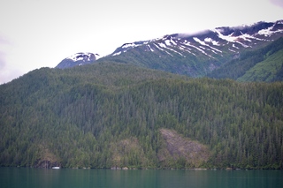 Filename=DSC_4521.jpg
Filesize=8883KiB
Dimensions=7360x4912
Date added=Sep 15, 2019 DSC_4521.jpg