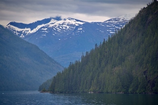 Filename=DSC_4522.jpg
Filesize=13537KiB
Dimensions=7360x4912
Date added=Sep 15, 2019 DSC_4522.jpg