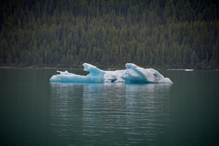 Filename=DSC_4525.jpg
Filesize=10622KiB
Dimensions=7360x4912
Date added=Sep 15, 2019 DSC_4525.jpg