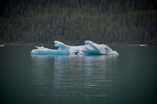 Filename=DSC_4526.jpg
Filesize=11771KiB
Dimensions=7360x4912
Date added=Sep 15, 2019 DSC_4526.jpg