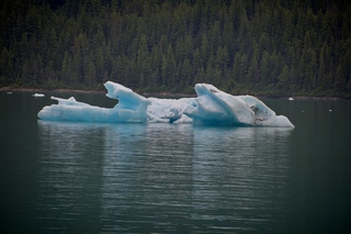 Filename=DSC_4527.jpg
Filesize=11971KiB
Dimensions=7360x4912
Date added=Sep 15, 2019 DSC_4527.jpg