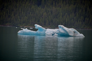 Filename=DSC_4528.jpg
Filesize=11921KiB
Dimensions=7360x4912
Date added=Sep 15, 2019 DSC_4528.jpg