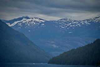 Filename=DSC_4534.jpg
Filesize=7772KiB
Dimensions=7360x4912
Date added=Sep 15, 2019 DSC_4534.jpg