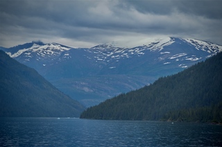 Filename=DSC_4536.jpg
Filesize=7846KiB
Dimensions=7360x4912
Date added=Sep 15, 2019 DSC_4536.jpg