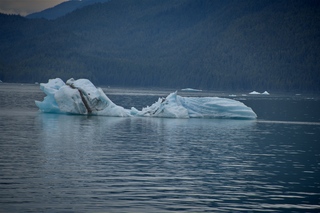 Filename=DSC_4539.jpg
Filesize=9719KiB
Dimensions=7360x4912
Date added=Sep 15, 2019 DSC_4539.jpg